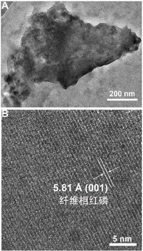 Red phosphorus/zinc oxide heterojunction film for realizing photocatalysis disinfection by utilizing screen LED light, and preparation method and application thereof