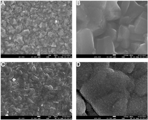 Red phosphorus/zinc oxide heterojunction film for realizing photocatalysis disinfection by utilizing screen LED light, and preparation method and application thereof