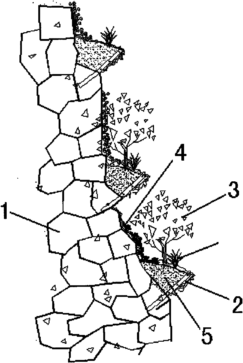 Method for growing plants on slope