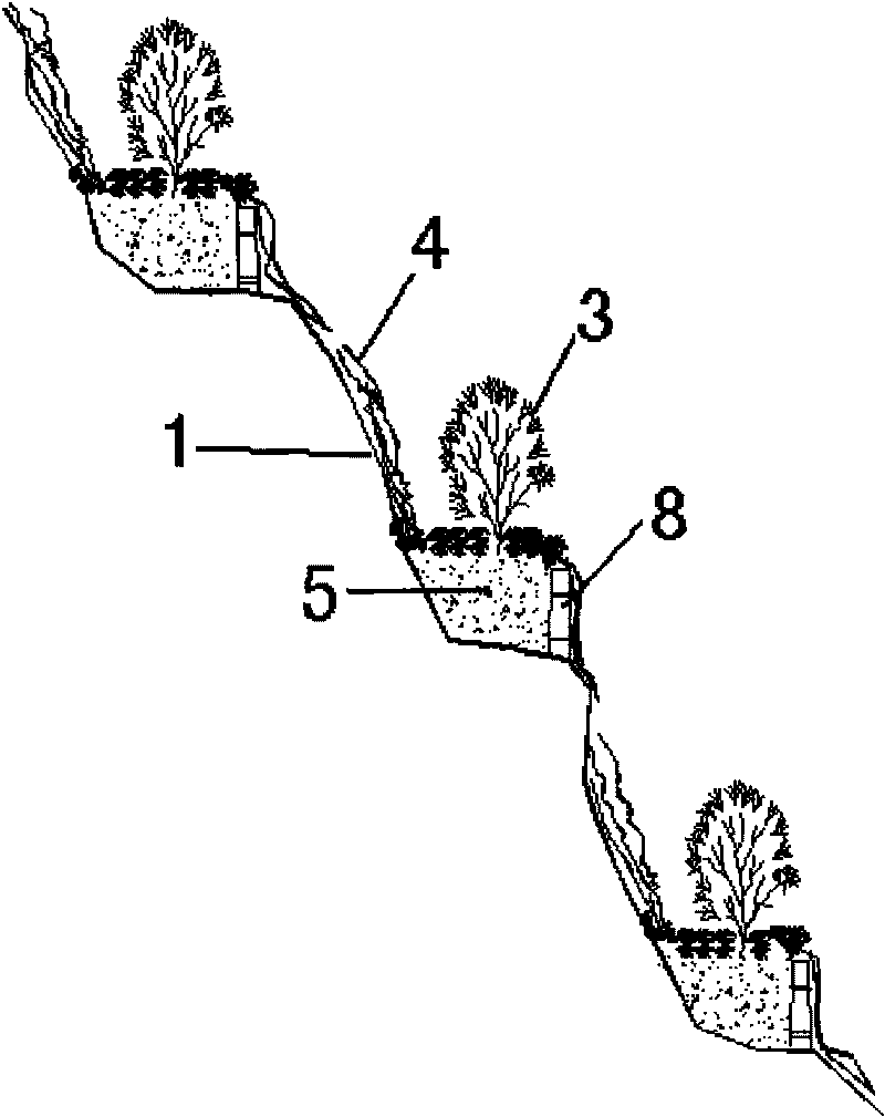 Method for growing plants on slope