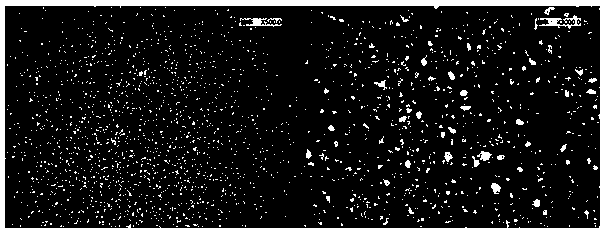 Treating method for silver electrodes used for ion chromatography electrochemistry amperometric detection