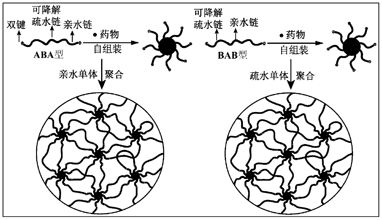 Preparation method of shape memory polymer material with drug release function, product obtained therethrough, and application of product