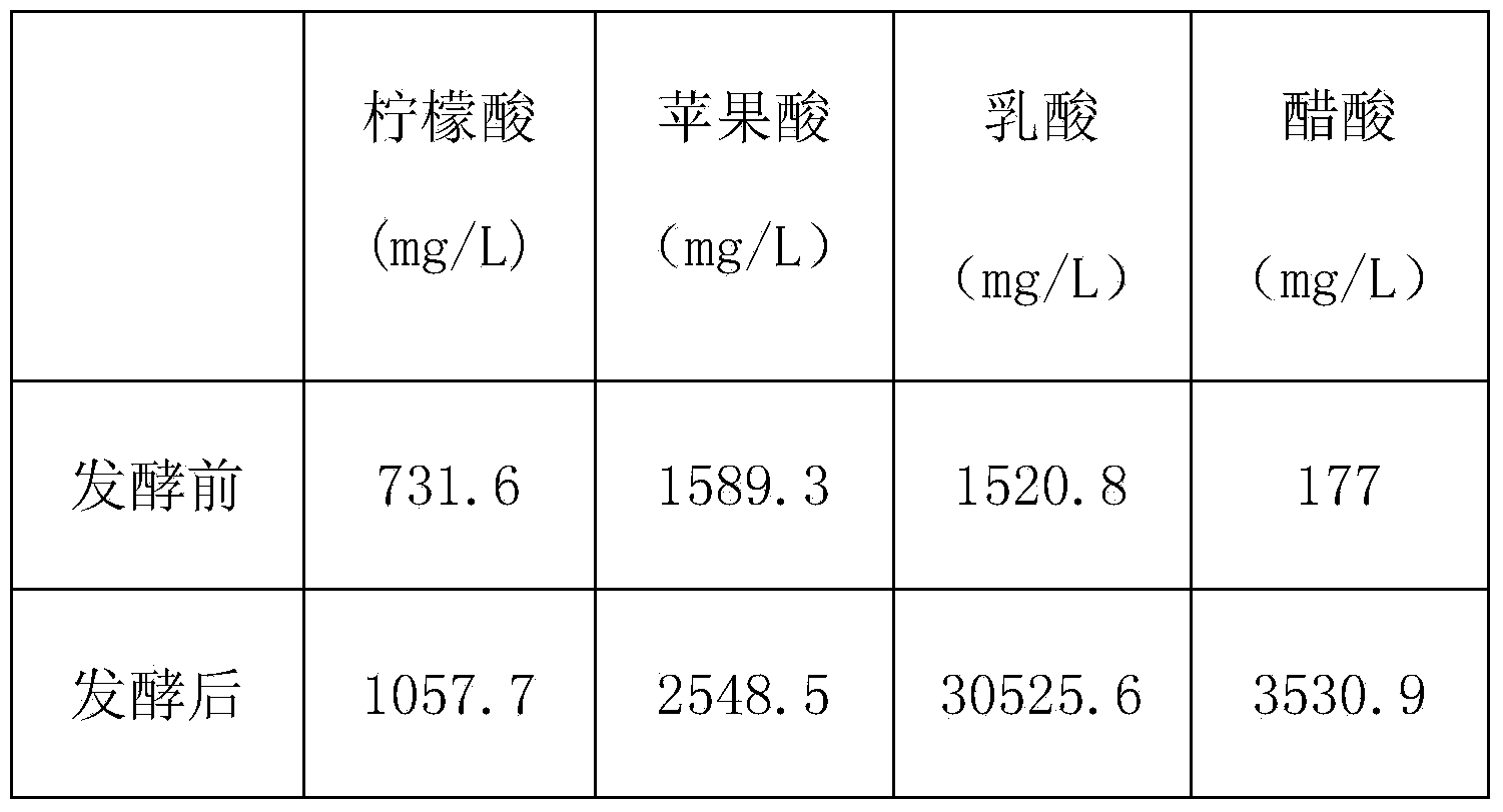 Asparagus fermented beverage and preparation method thereof