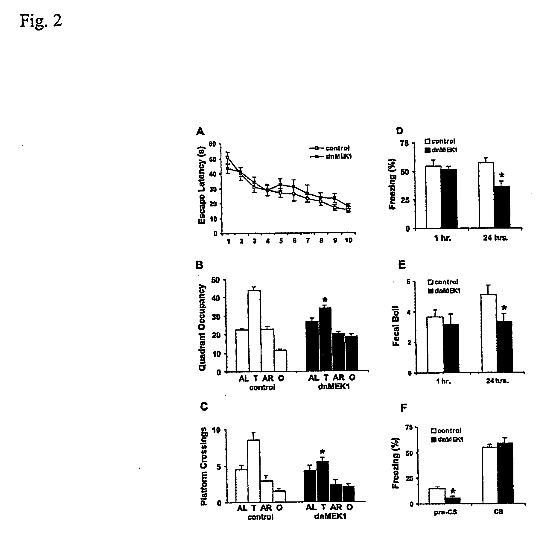 Compositions and Methods for Modulating Cognitive Function