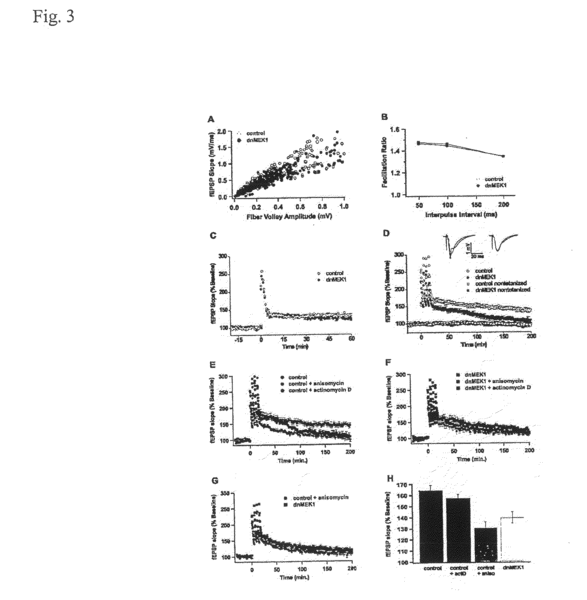 Compositions and Methods for Modulating Cognitive Function