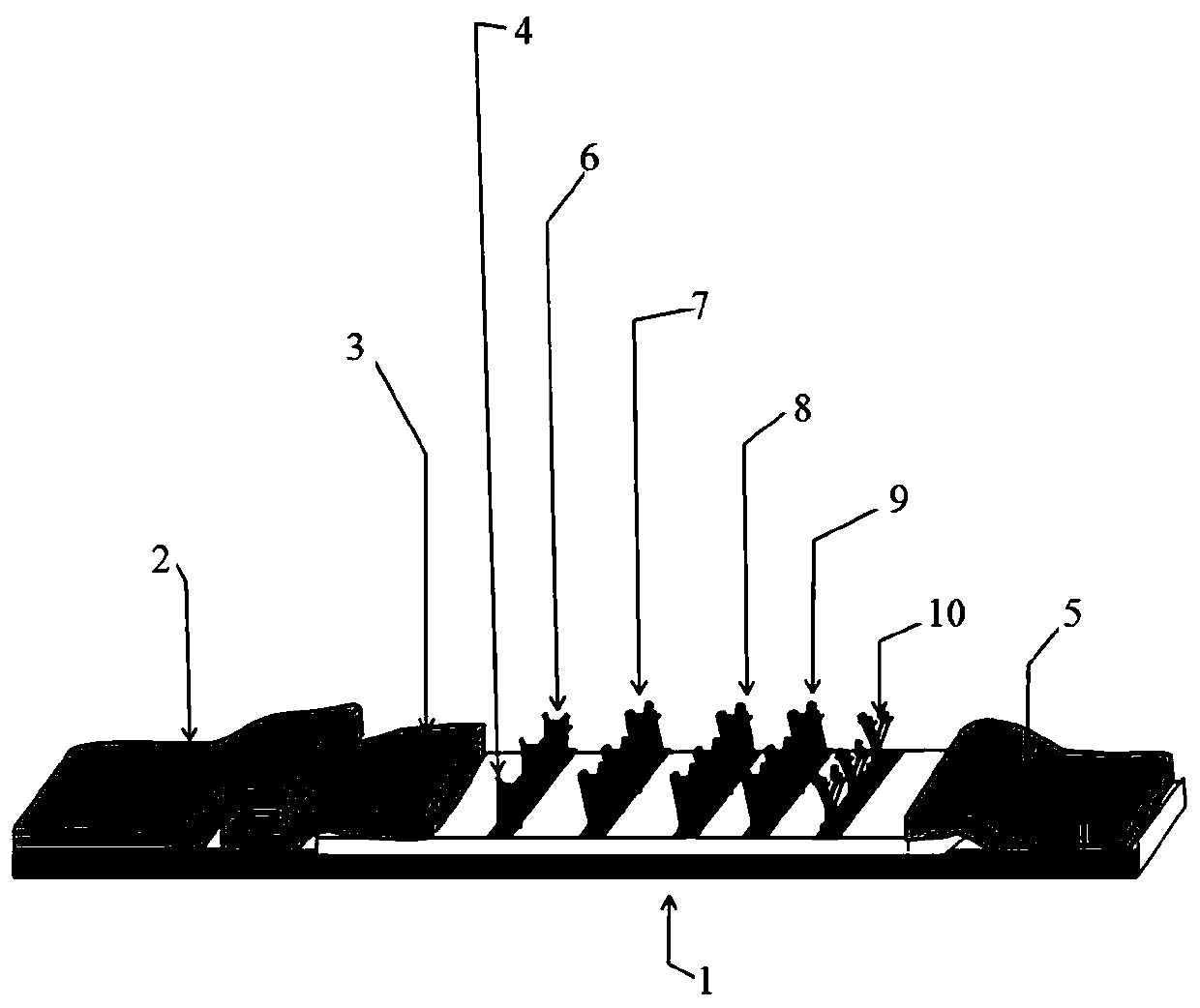 Detection kit of group B streptococcus rapid serological typing and preparation method thereof