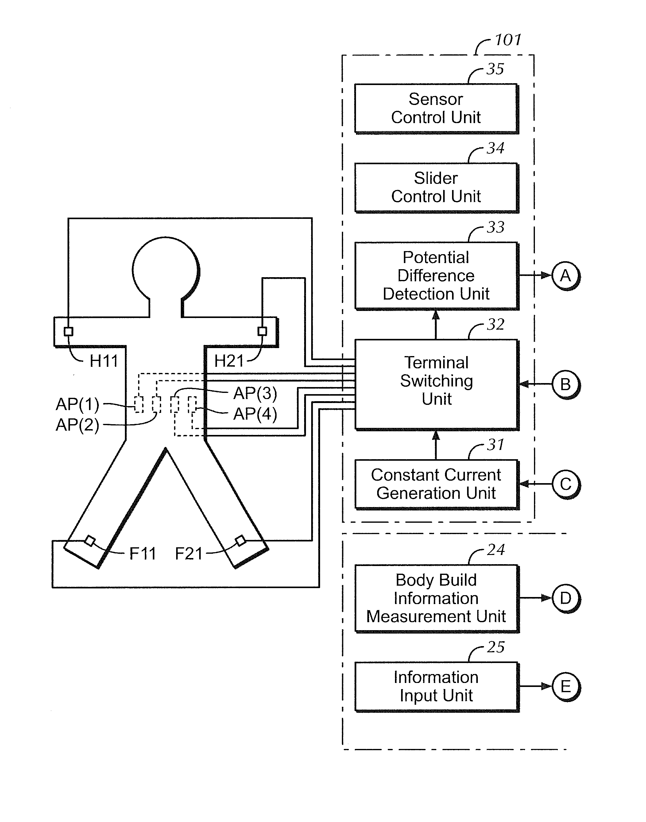 Fat mass measurement apparatus