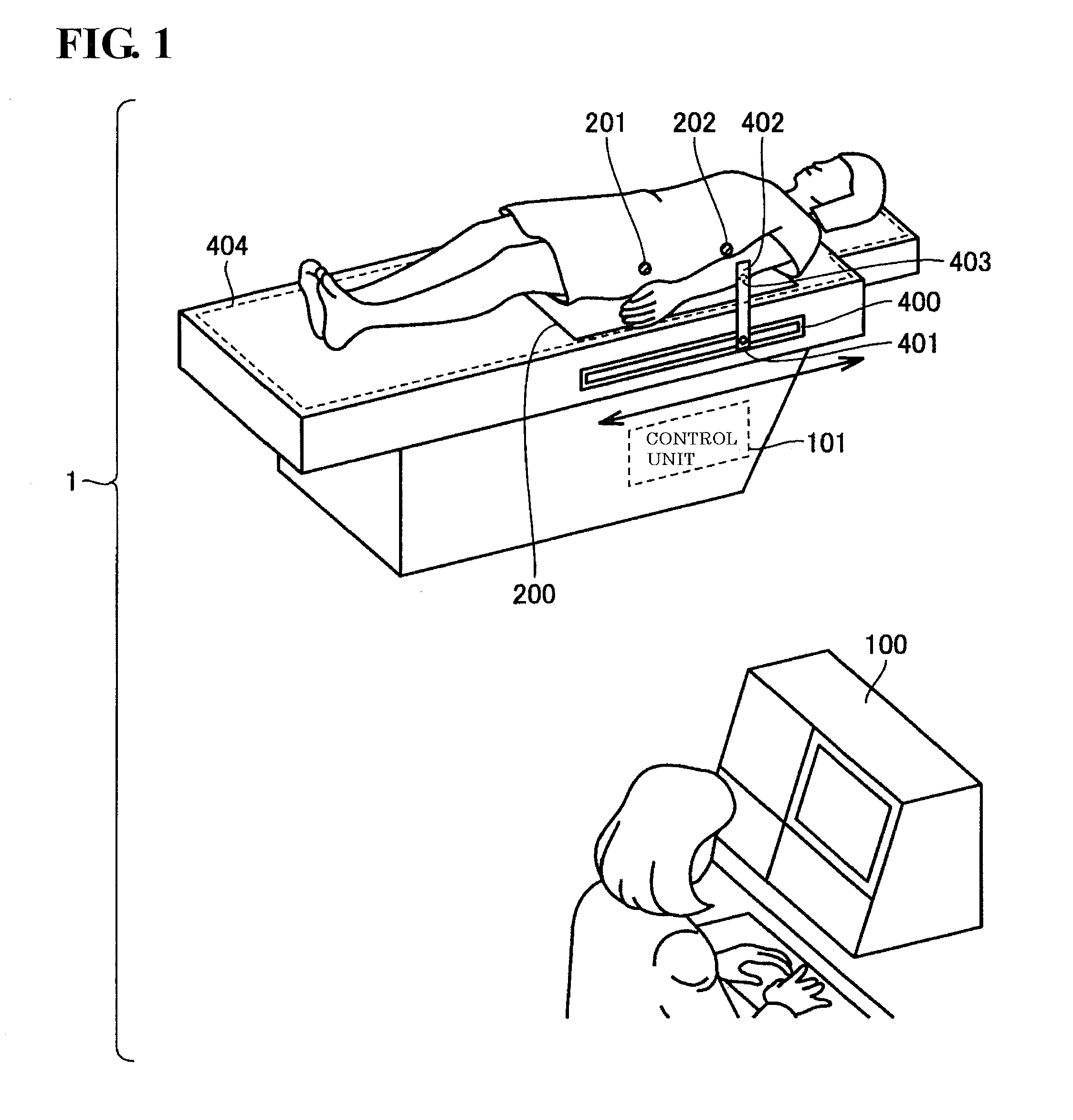 Fat mass measurement apparatus