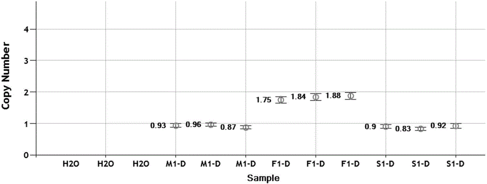 Mutation site of XI-type osteogenesis imperfecta pathogenic gene FKBP10 and application of mutation site