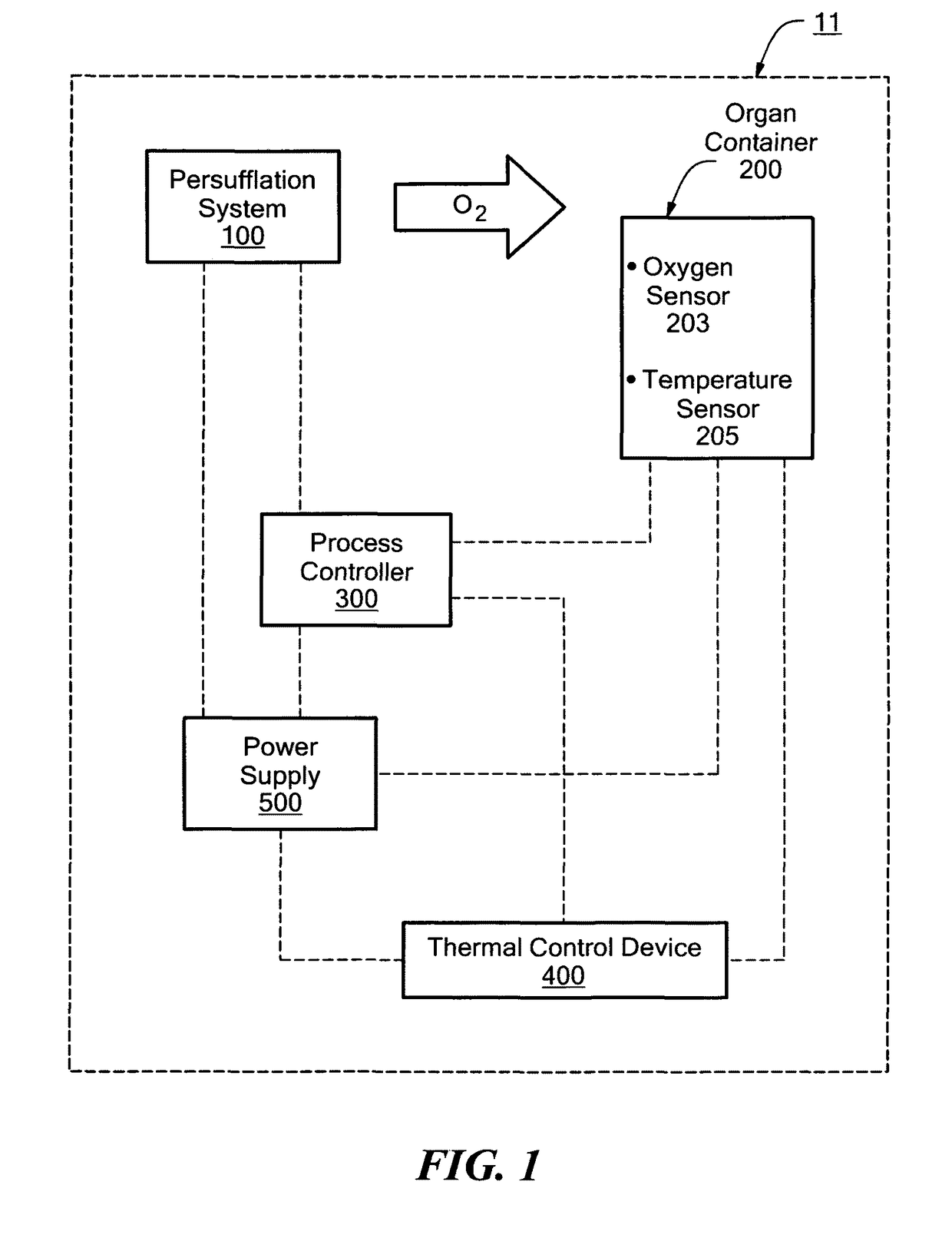 Perfusing an organ with an in situ generated gas