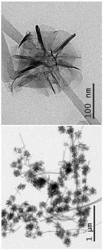 Manganese dioxide nanoflower and silicon oxide nanofiber compounding type catalyst and preparation method thereof