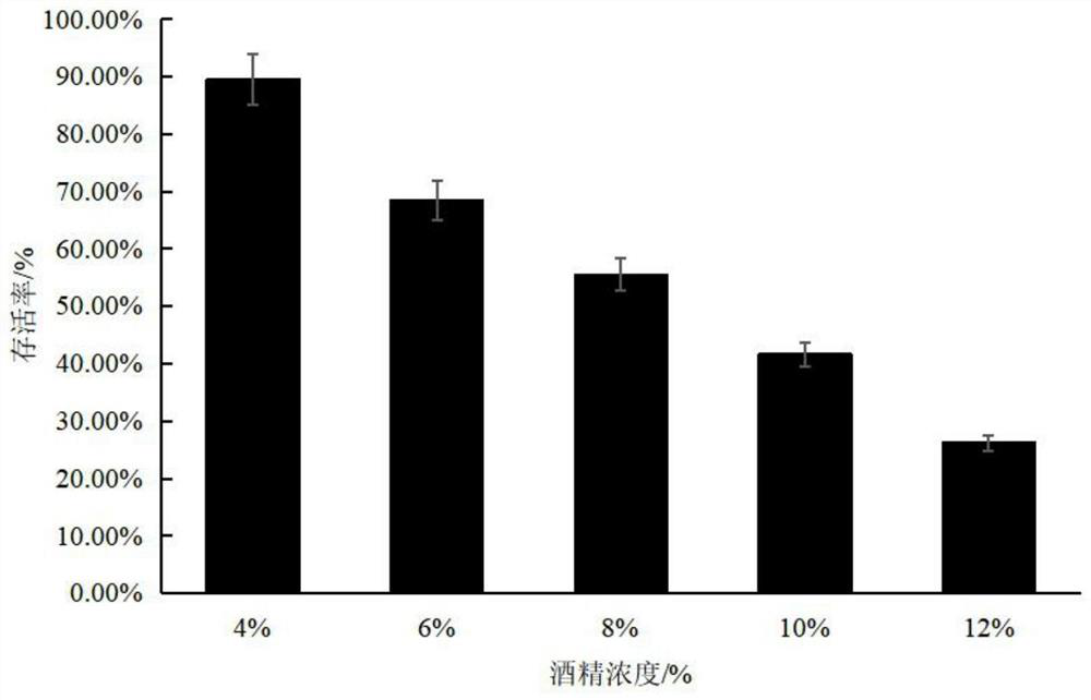 Pediococcus acidilactici with excellent alcohol stress resistance and application