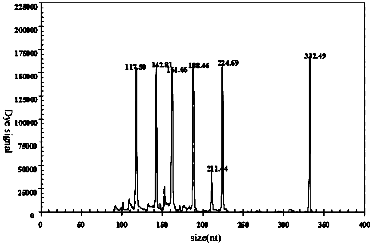 Gexp rapid detection primer set, kit and application for simultaneous identification of main subtypes of avian influenza