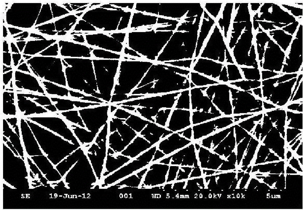 Method for preparing nano-titanium dioxide photocatalysis transparent glass coating by electrospinning technology