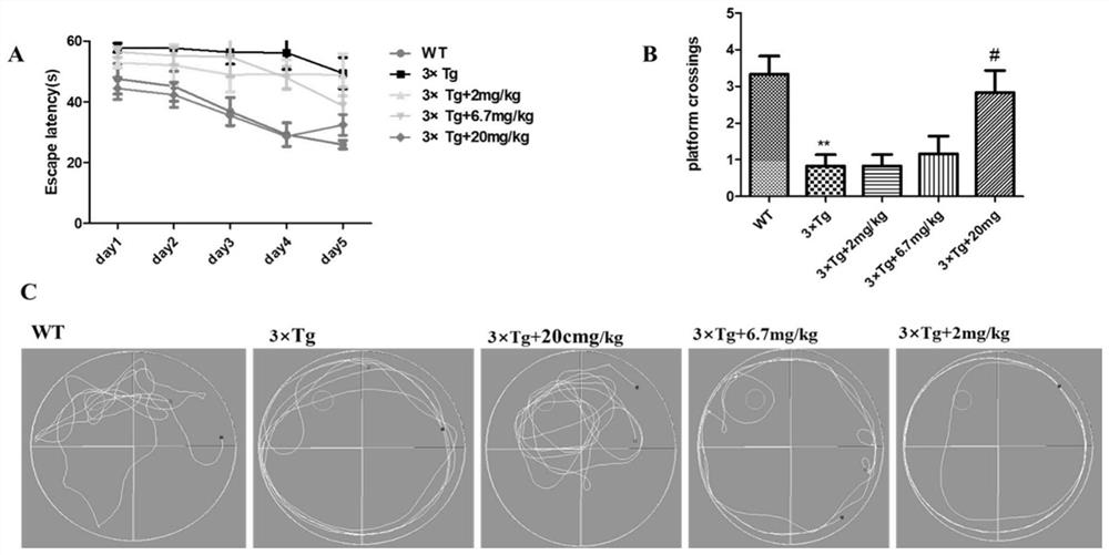 Application of artemisia annua extract in preparing preparation for treating or preventing AD