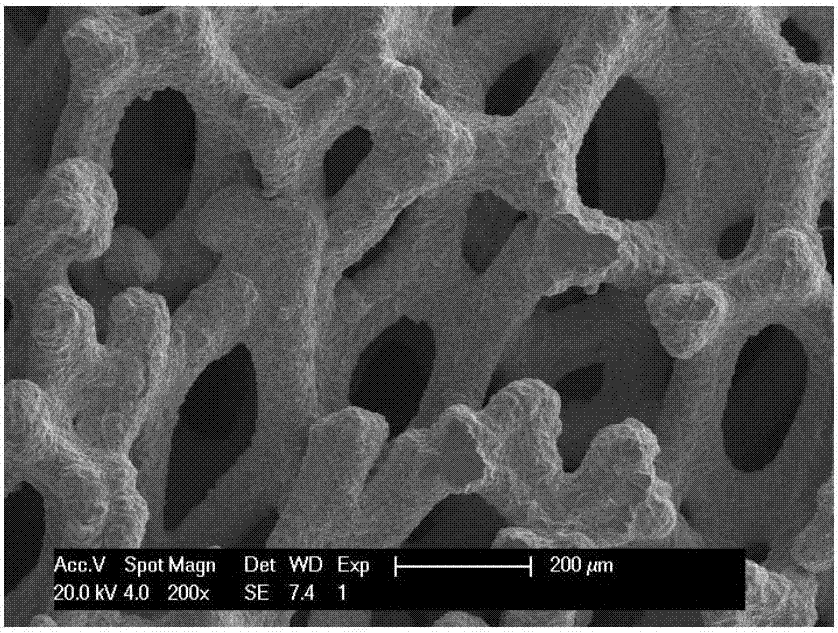 A method for controlling the pore size of open-cell foamed copper