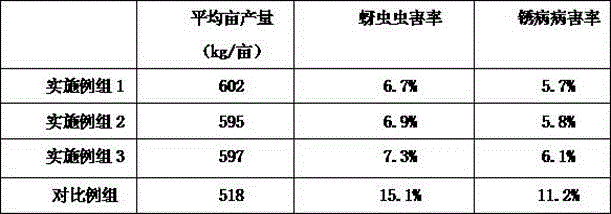 Special microorganism organic fertilizer for wheat