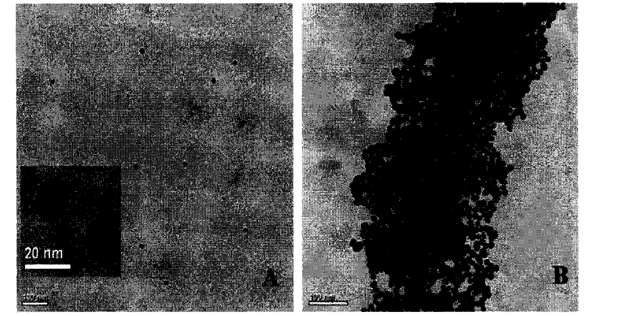 Method for rapidly detecting residual organophosphorus pesticide in vegetables by utilizing double-signal method of CdTe quantum dots and gold nanoparticles