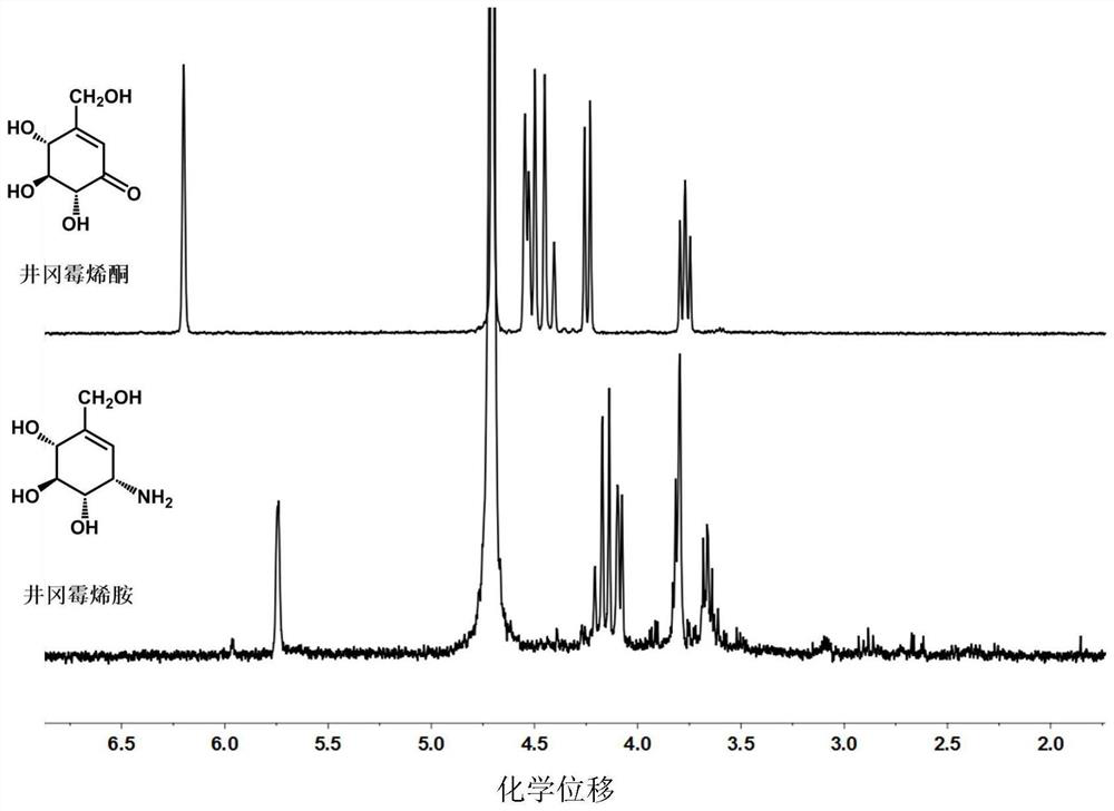 Biological preparation method of Jinggang mycylamine