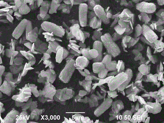 Biomimetic synthesis method of bismuth vanadate visible-light-driven photocatalyst with different microtopographies