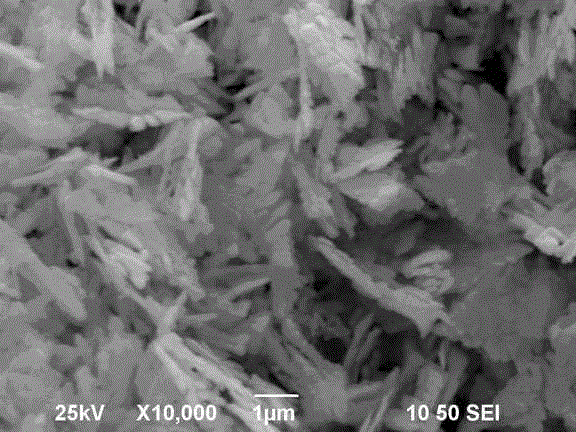 Biomimetic synthesis method of bismuth vanadate visible-light-driven photocatalyst with different microtopographies