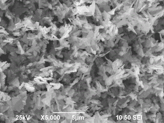 Biomimetic synthesis method of bismuth vanadate visible-light-driven photocatalyst with different microtopographies