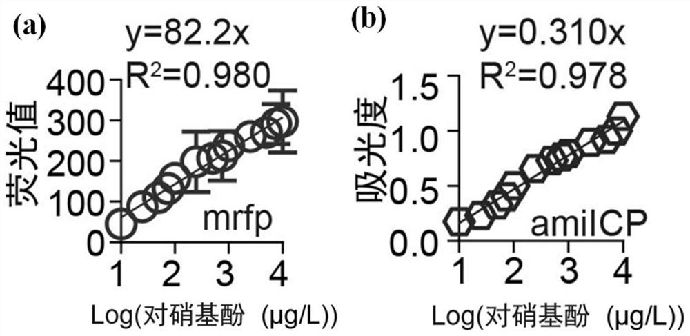 Whole-cell biosensor for detecting p-nitrophenol and detection method