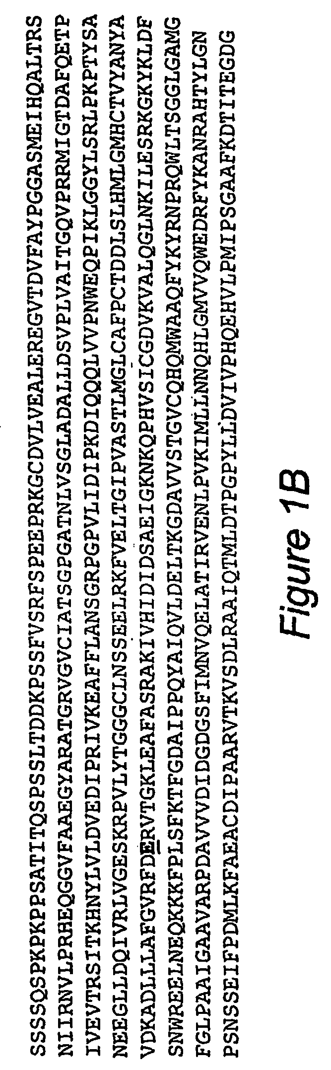 Gene encoding resistance to acetolactate synthase-inhibiting herbicides