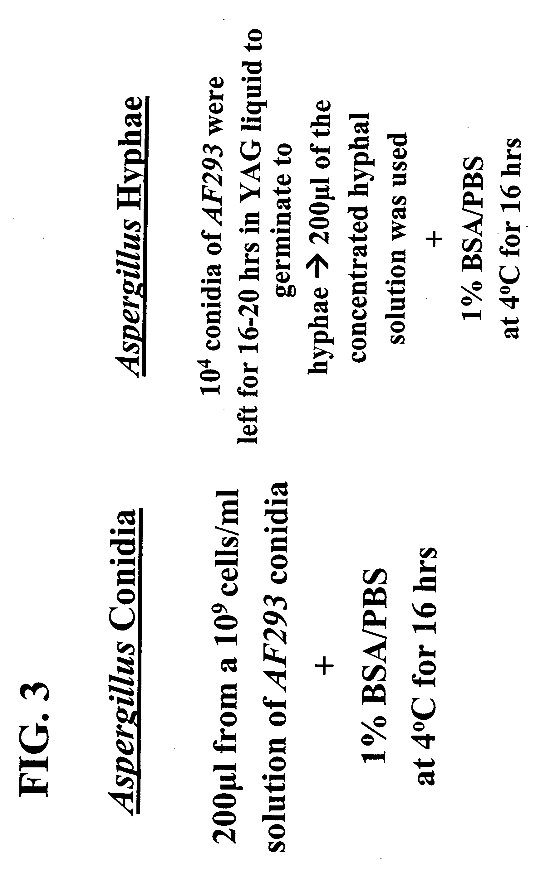 Biopanning as an approach to study the pathogenesis of and produce novel treatment modalities for invasive Aspergillosis