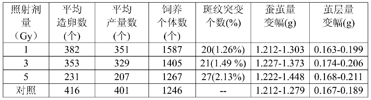 Breeding method for improving mutation frequency of silkworms