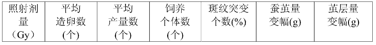 Breeding method for improving mutation frequency of silkworms