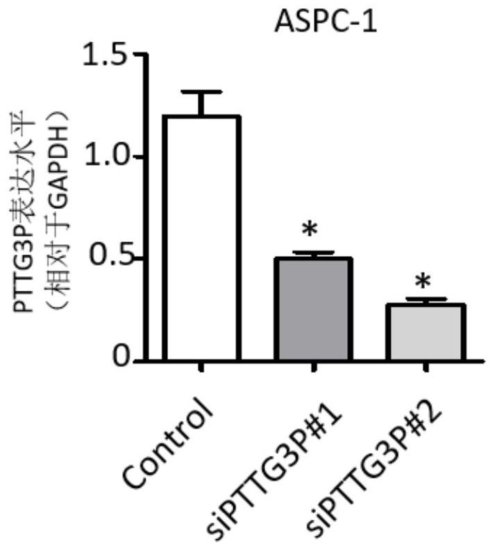 Application of pttg3p in preparation of pancreatic cancer diagnostic reagent or kit