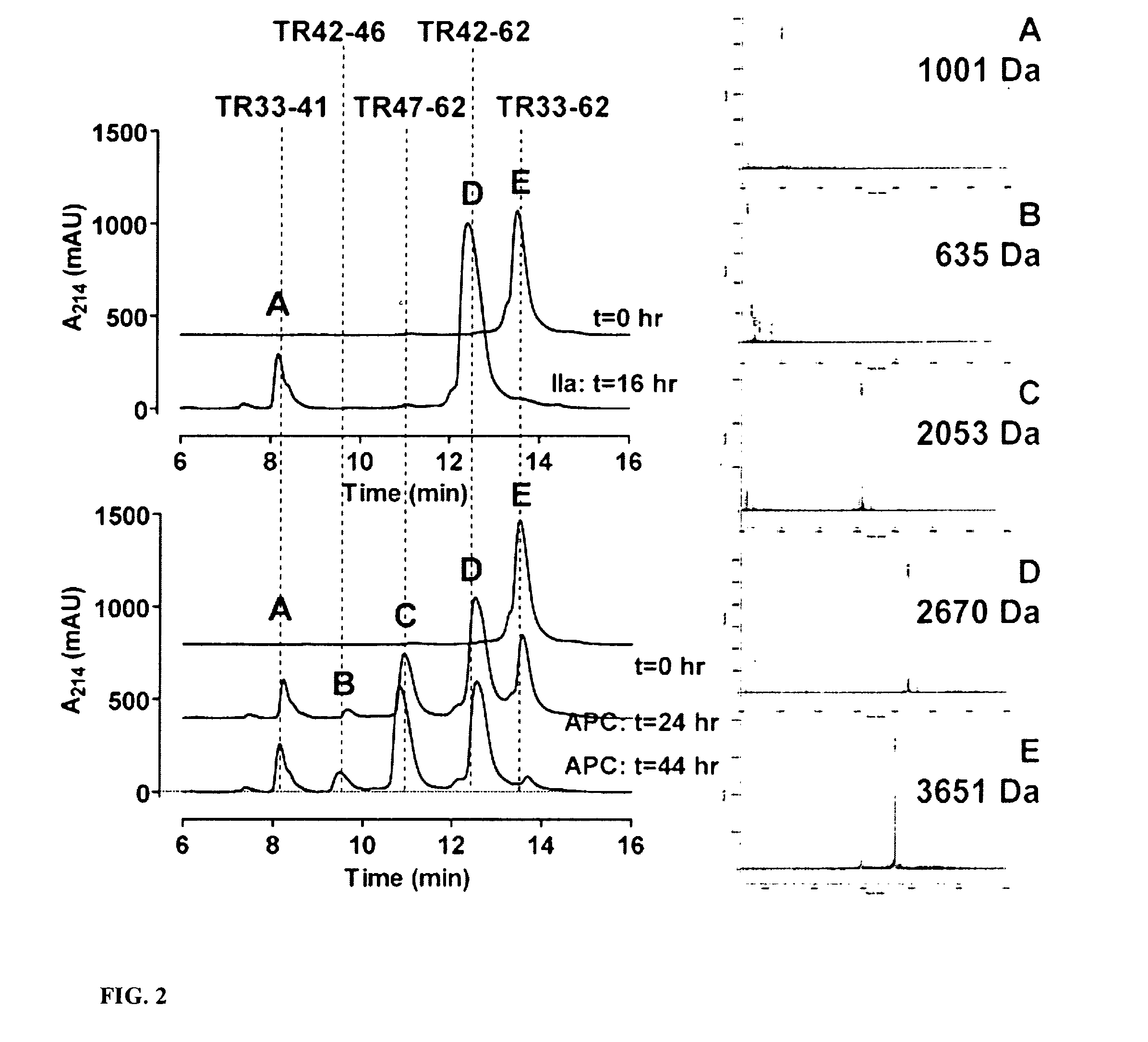 Protease Activated Receptor-1 (PAR1) Derived Cytoprotective Polypeptides and Related Methods