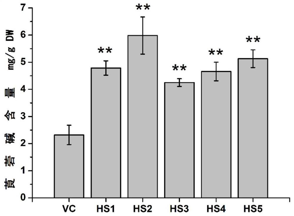 Hyospolamine reductase and its application