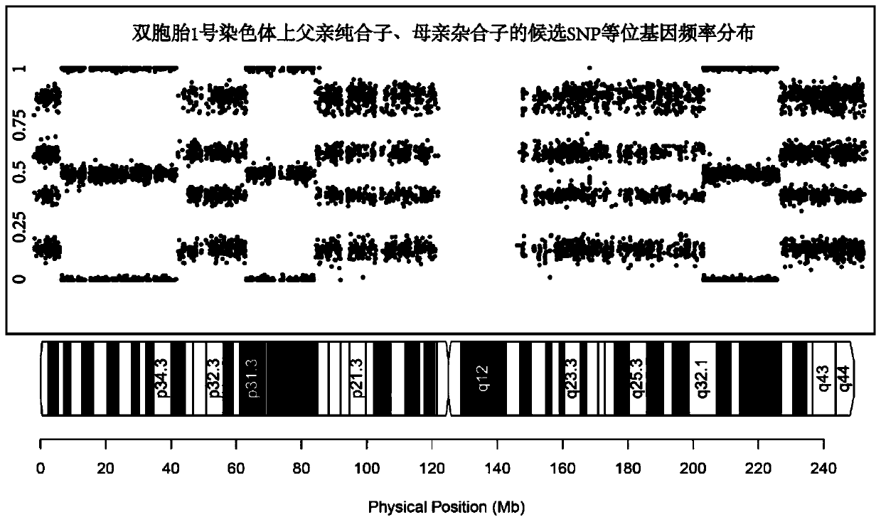 Method for identifying SNP genotype-based monozygotic twins, fraternal twins and second polar body participated fertilized twins