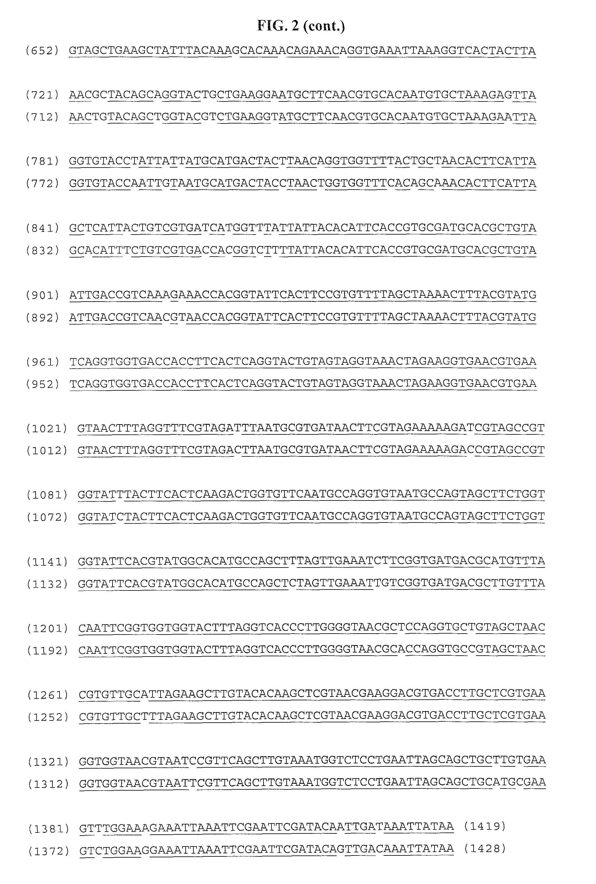 Preservation and composition of bioprocess algae for production of lipids, seedstock, and feed