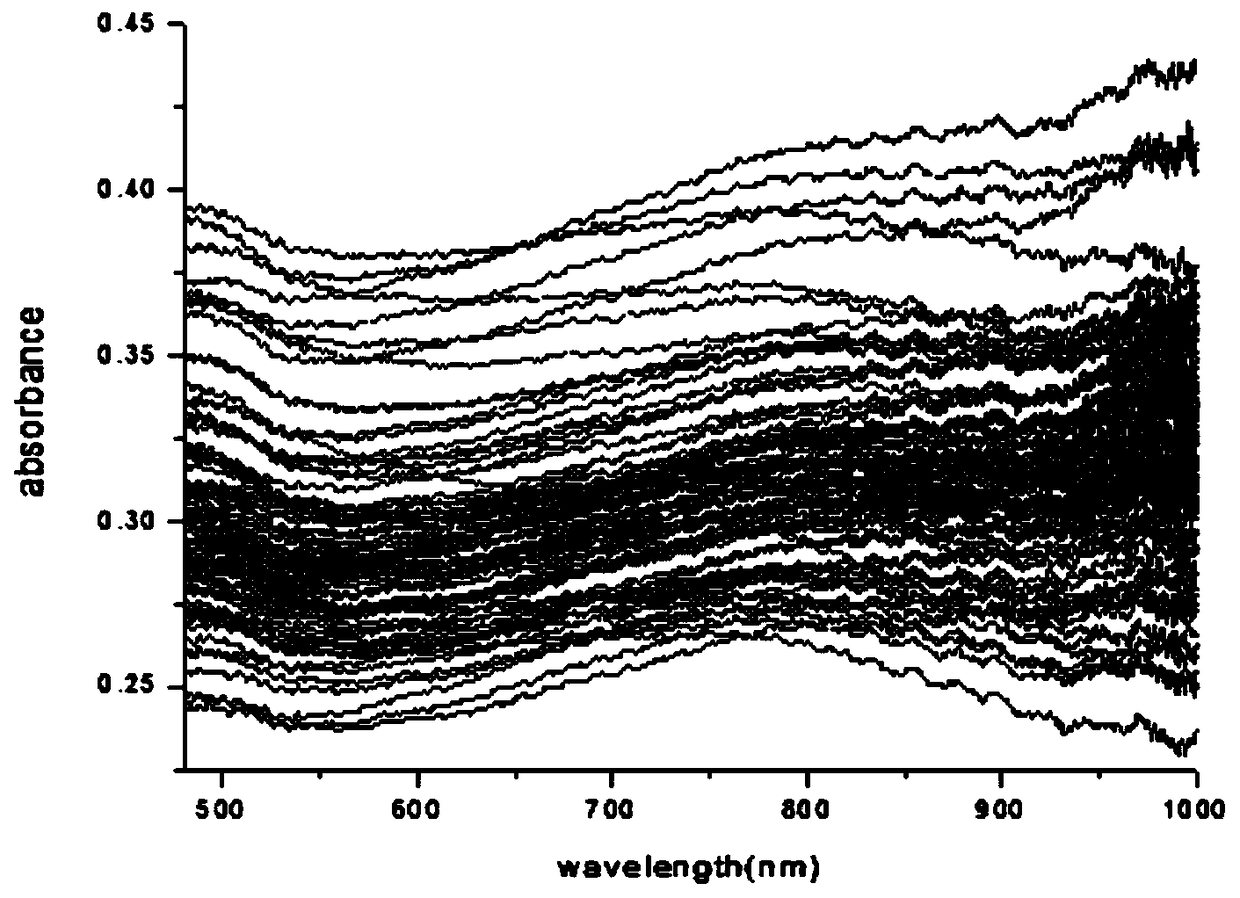 Rapid Identification Method of Biochar Carbonization Temperature Based on Spectral Analysis