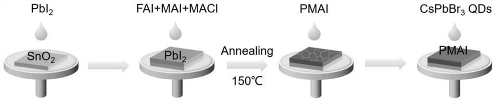 Efficient perovskite solar cell modified by double interface layers and preparation method thereof