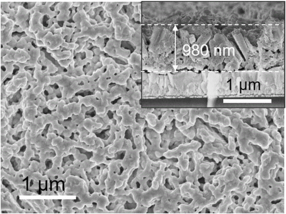 Preparation method of visible-light response tungsten trioxide-bismuth vanadate heterojunction thin film electrode