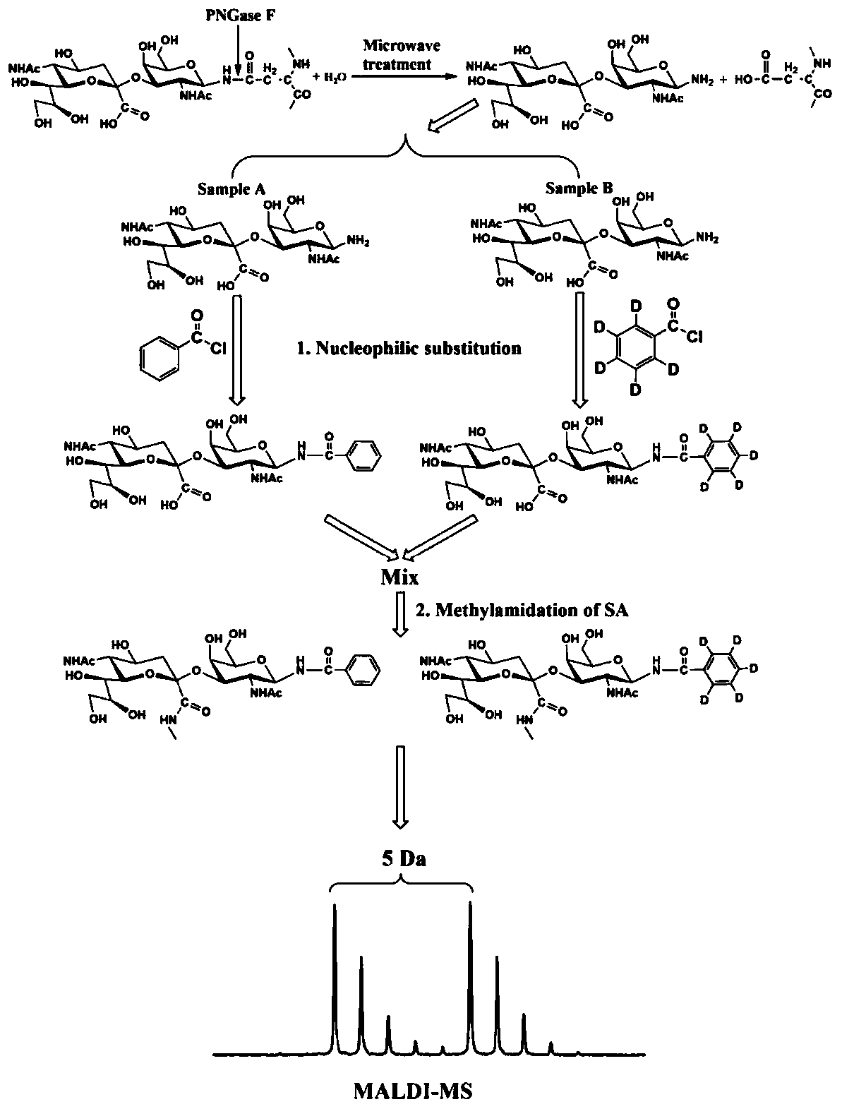 Rapid quantitative analysis method and application of n-glycans based on maldi-ms and stable isotope labeling