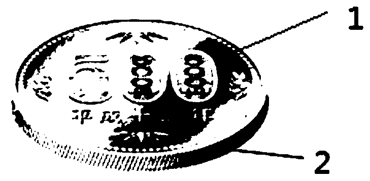 Silk tooth at edge part of coin and manufacturing method thereof