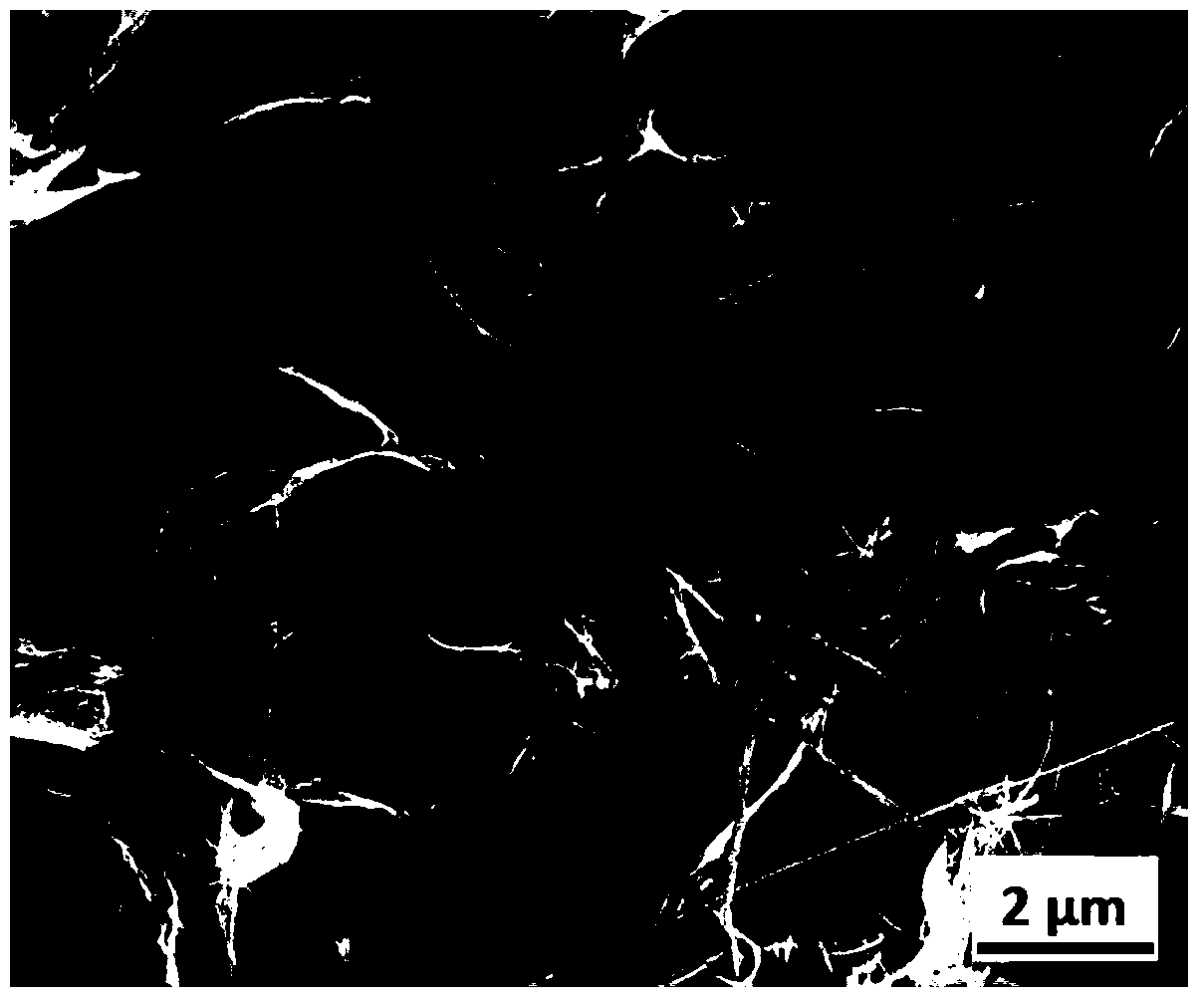 A kind of sodium titanate nanowire/graphene composite negative electrode material and preparation method thereof