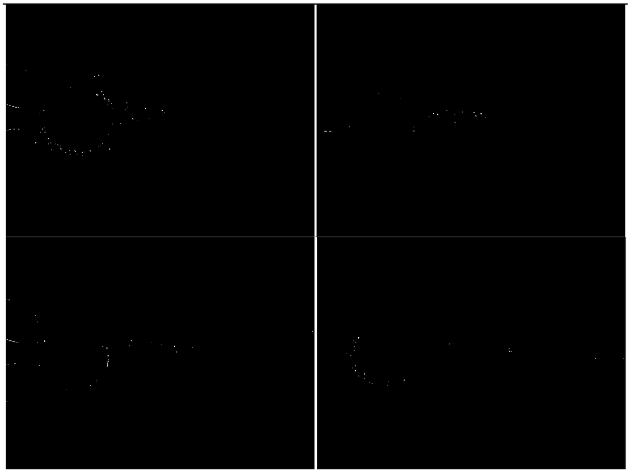 Quantitative cell enucleating method