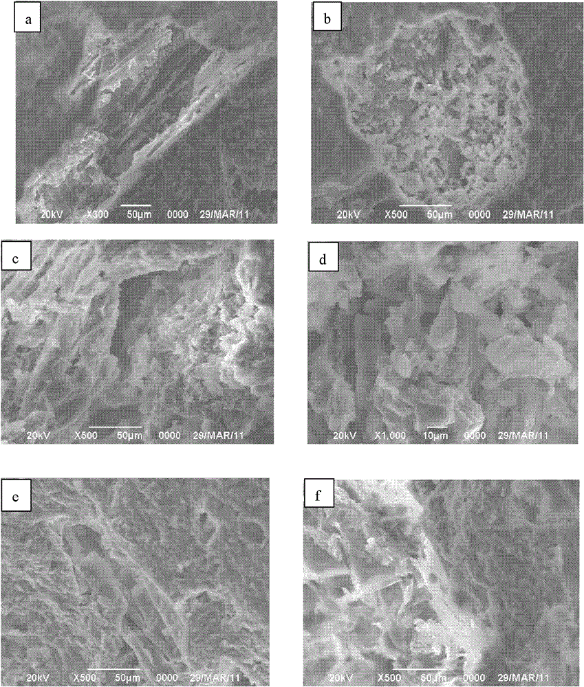 Attapulgite clay porous ceramsite, and preparation method and purpose thereof