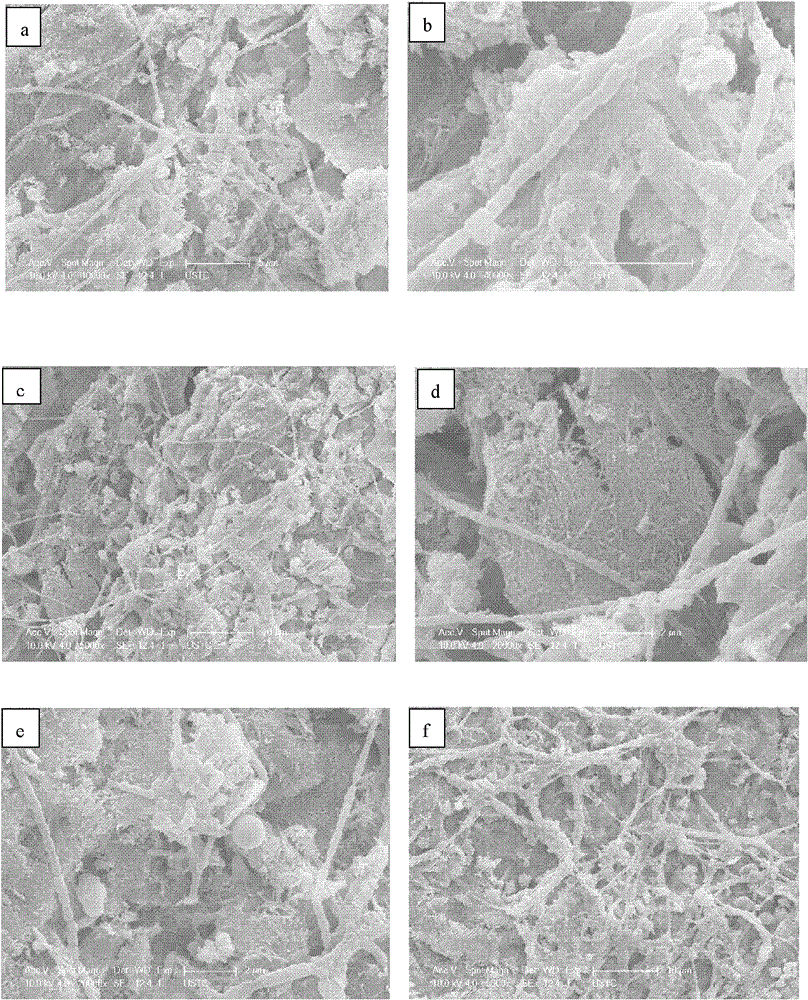 Attapulgite clay porous ceramsite, and preparation method and purpose thereof