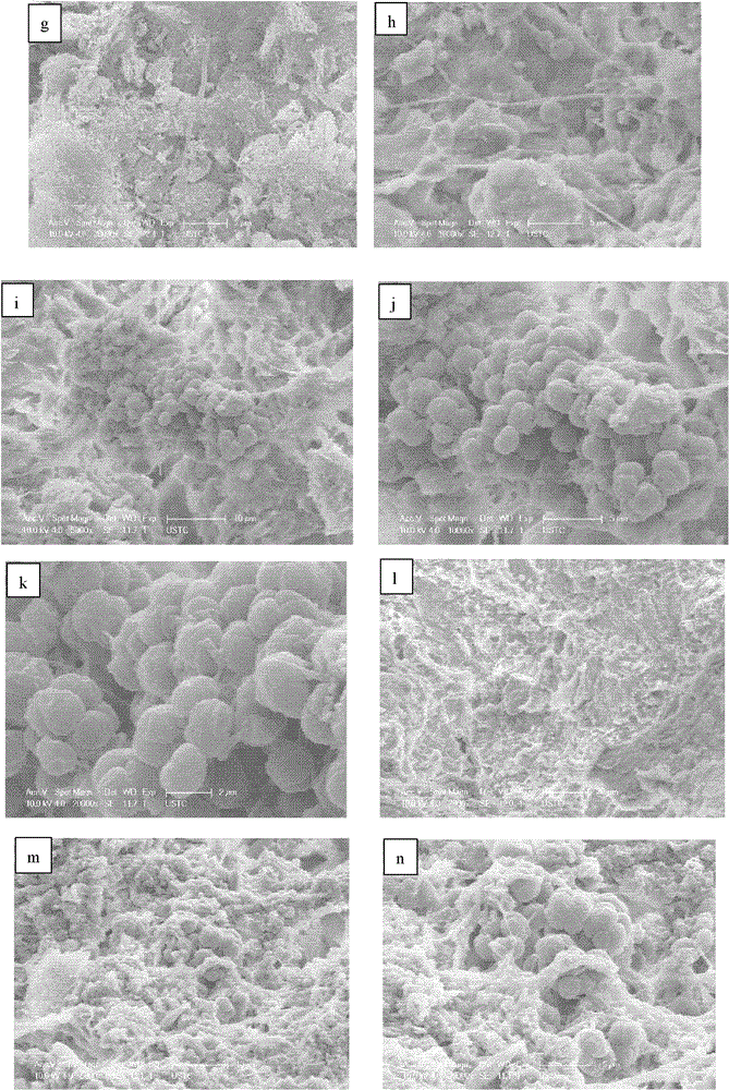 Attapulgite clay porous ceramsite, and preparation method and purpose thereof