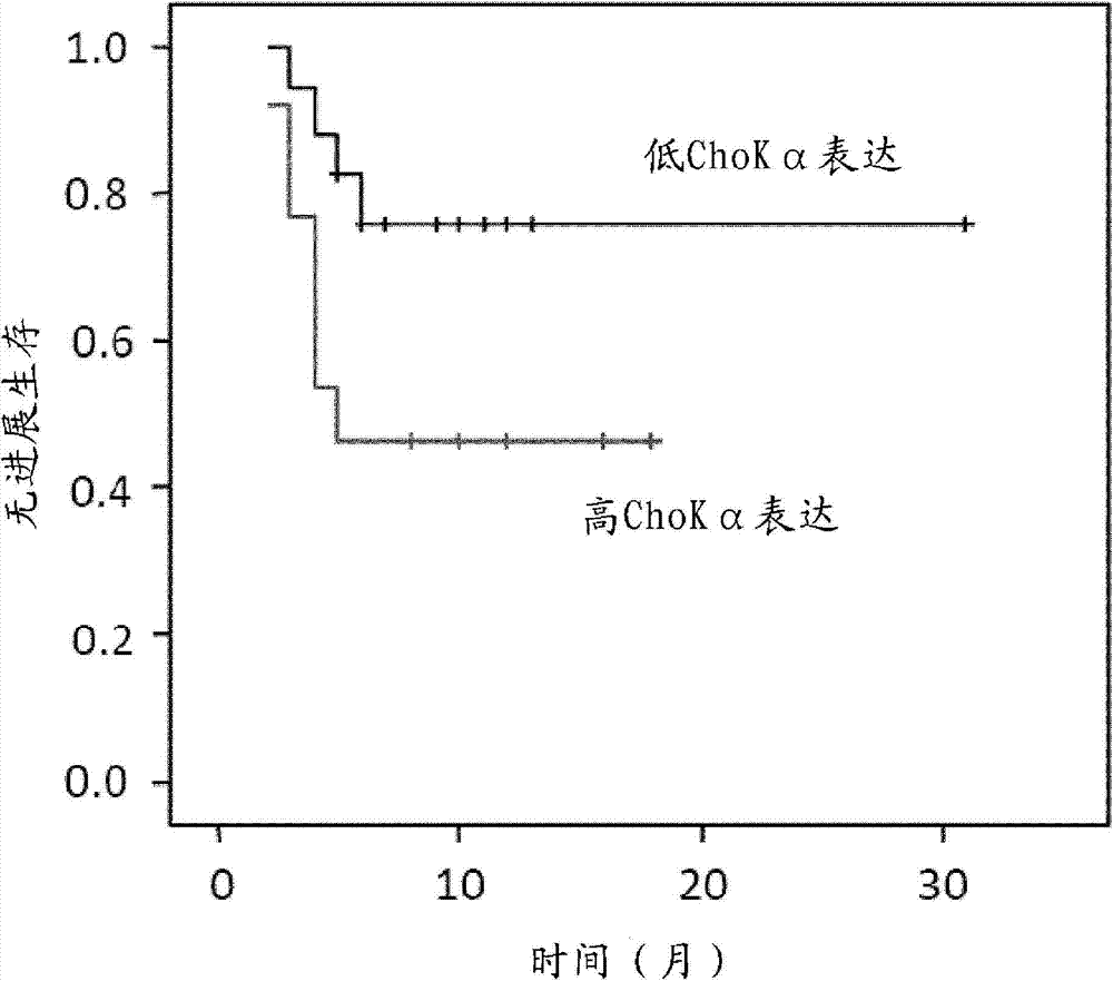 Method for predicting the clinical response to chemotherapy in a subject with cancer