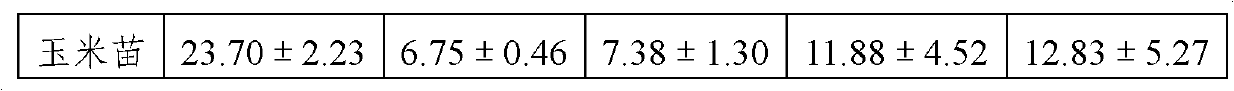 Athetis lepigone larva feed and preparation method thereof