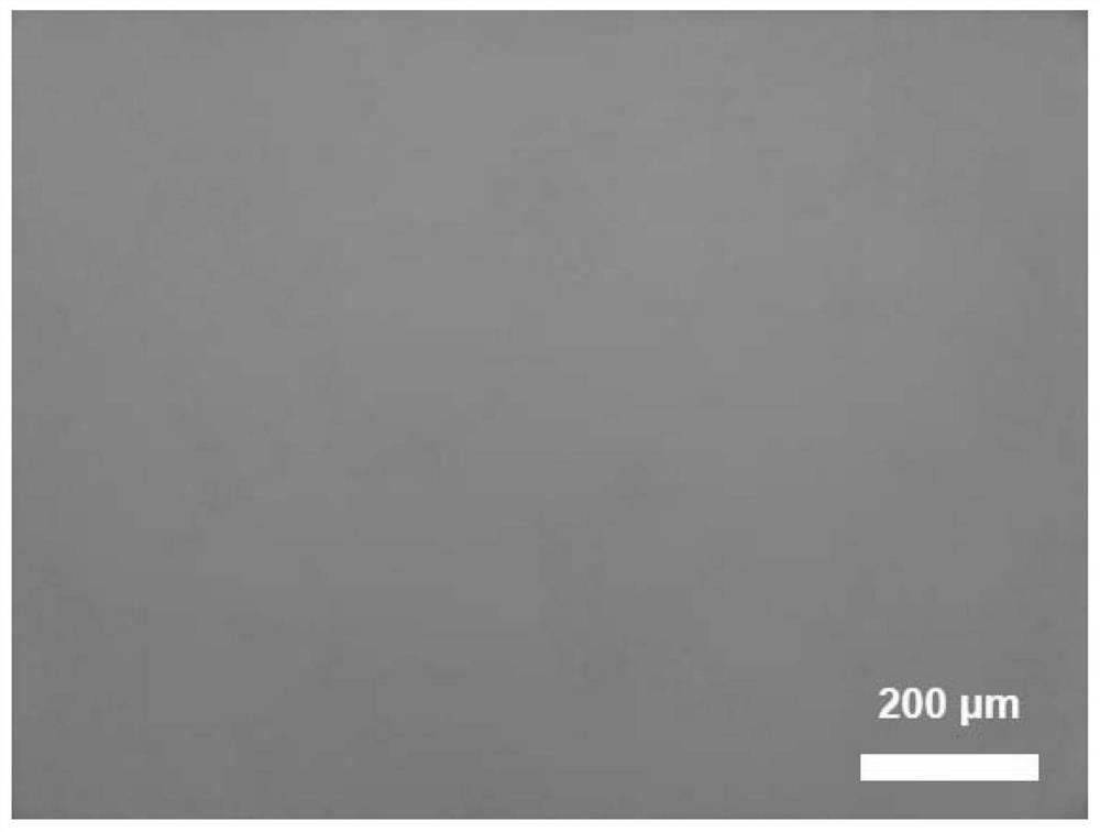 Copper film catalyst for CVD (Chemical Vapor Deposition) growth of graphene and application of copper film catalyst