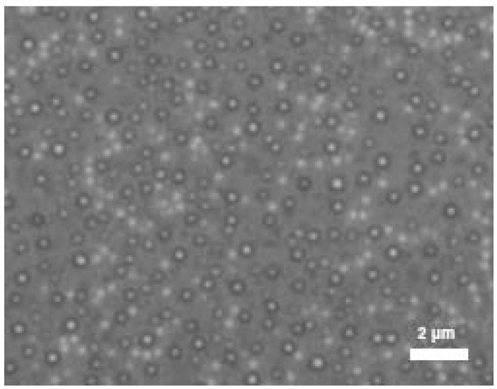 Copper film catalyst for CVD (Chemical Vapor Deposition) growth of graphene and application of copper film catalyst